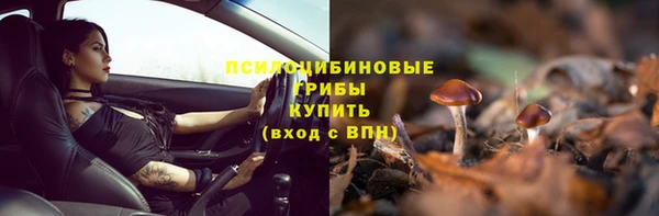 2c-b Белоозёрский