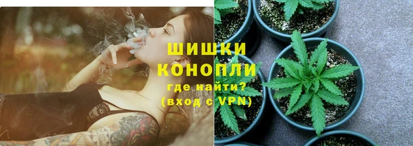 гидра Пересвет